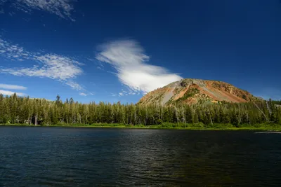 DSC_0048 (Large).JPG